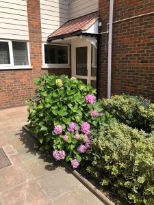 Door canopies and cladding