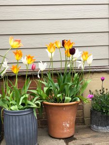 Close up detailing of composite cladding