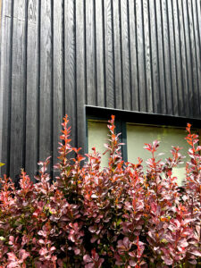 Burnt oak colour Millboard cladding