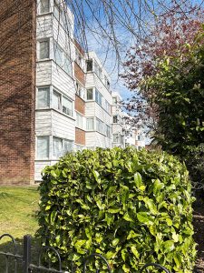 Fibre cement cladding at a block of flats in Woodford